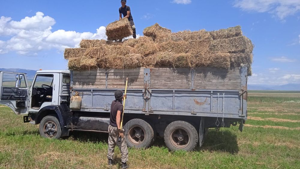 Камаз 5320/kamaz 5320