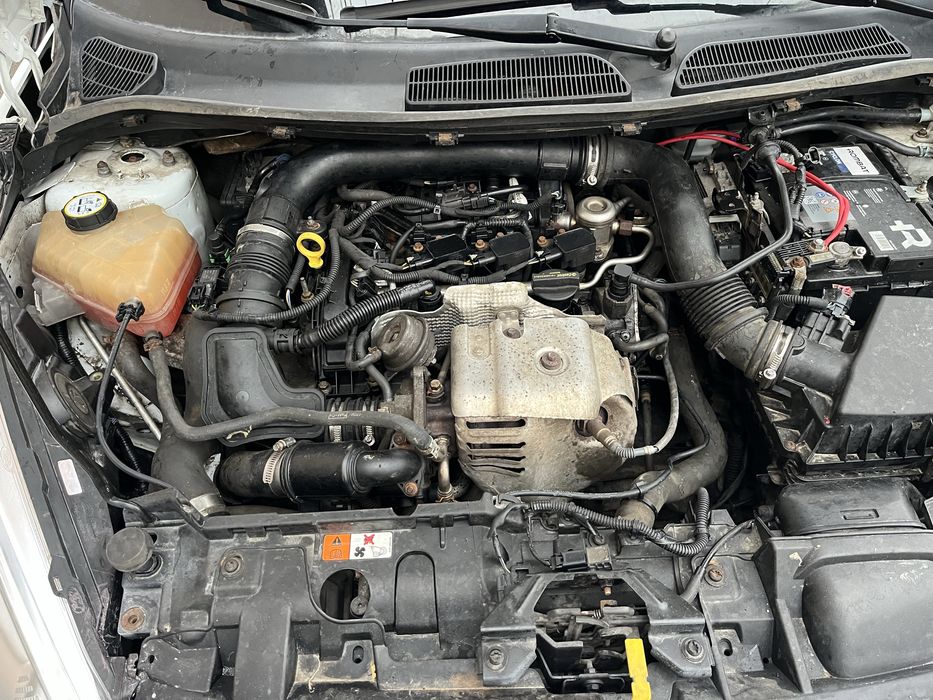 Vand Ford Fiesta 1.0