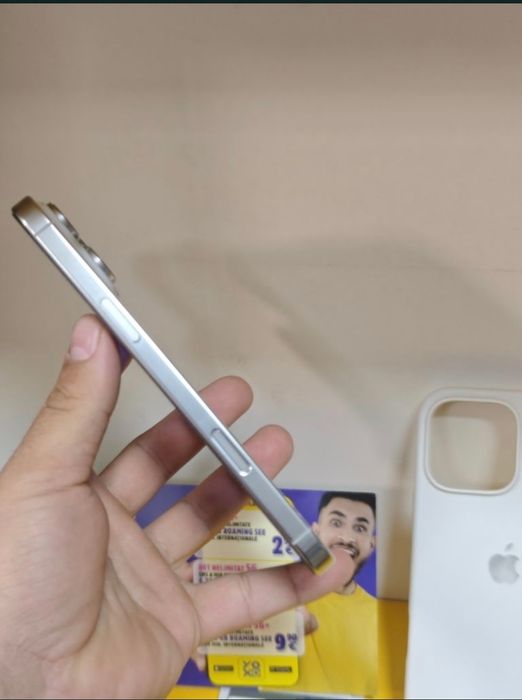 16 Pro Max 256 Gb