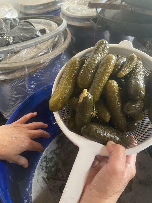 Castraveti murati si varza murata de vanzare