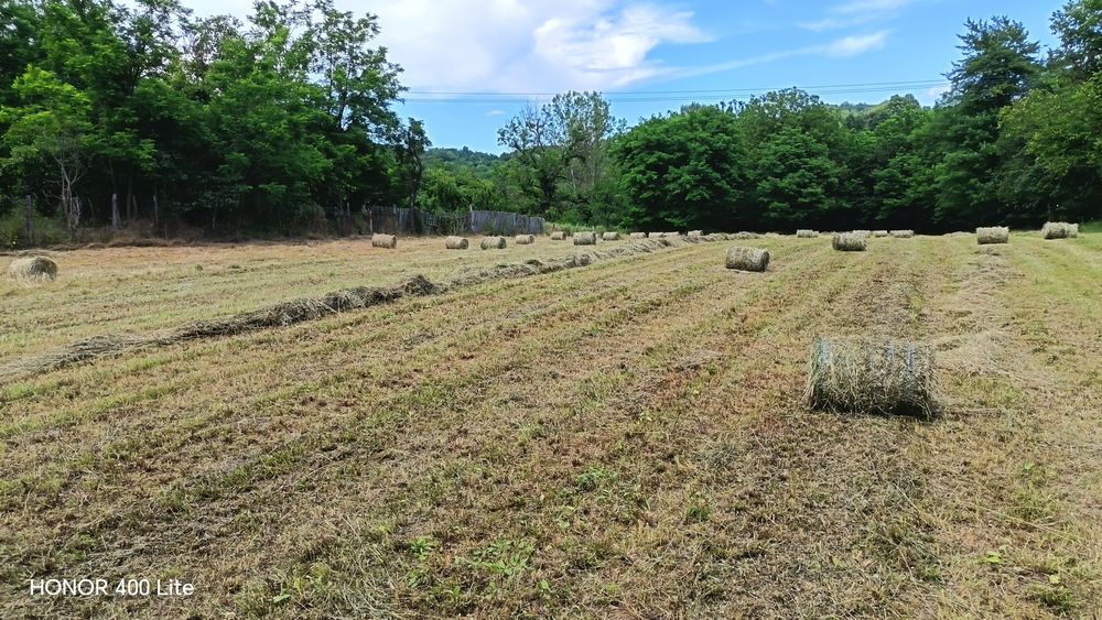 Vând baloti fân rotunzi, mici, 20 kg.