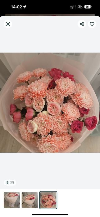 Продам цветы в хорошем состоянии