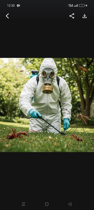 Дезинфекция Кызылорда