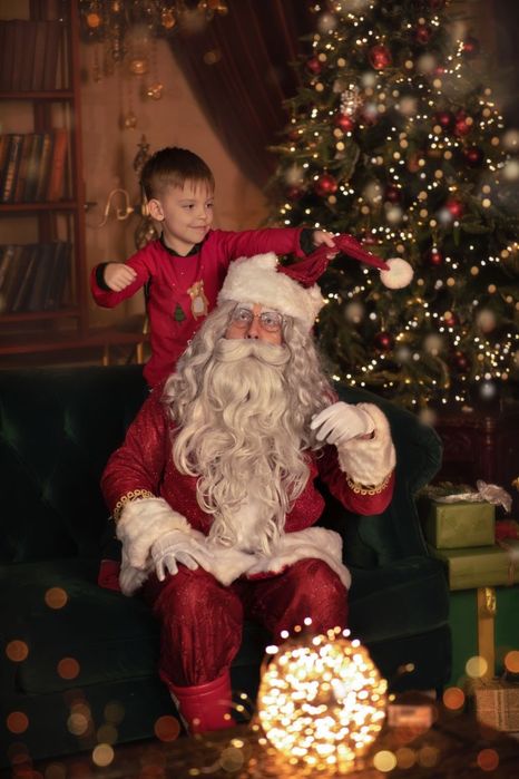 Дед Мороз и Снегурочка на дом