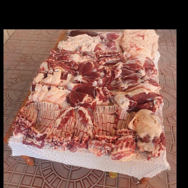qassob servis qassob xizmati