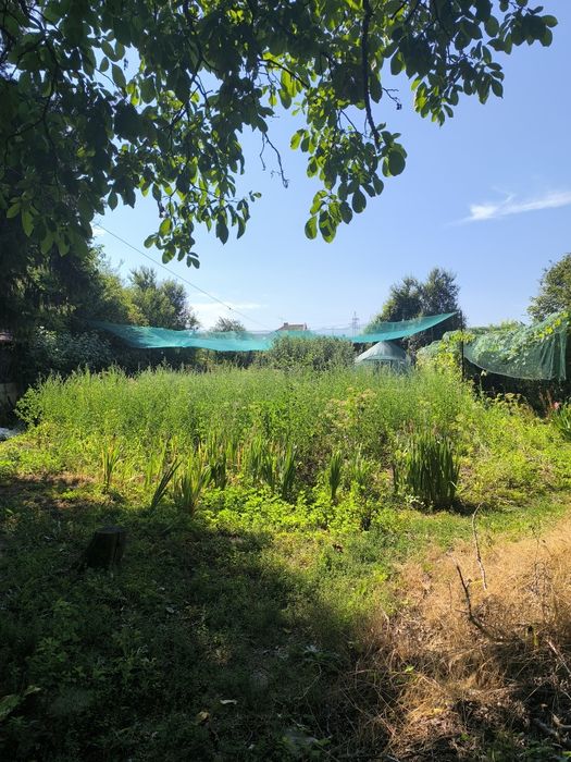 Продава се Парцел в с. Литаково, Област София-област - 770 кв.м за 39 €/кв.м - Снимка #4