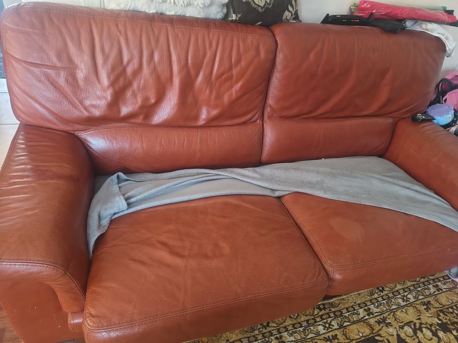 Canapea extensibila din piele