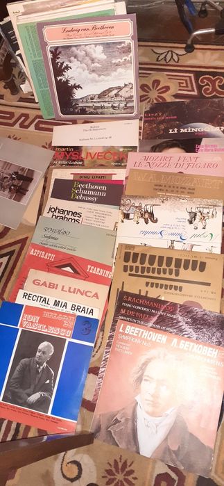 Discuri din vinil cu muzica clasica, populara etc