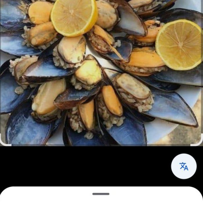 Midiya turkiyadan krladi tori mediyeç ahmedan