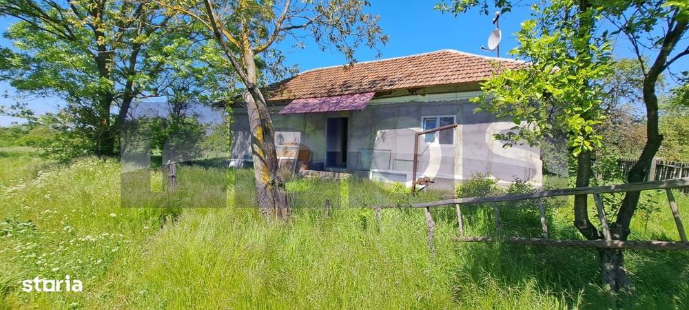 Casa Taraneasca | Teren 3000 Mp | Deschidere 52 M | Comuna Ciolanesti