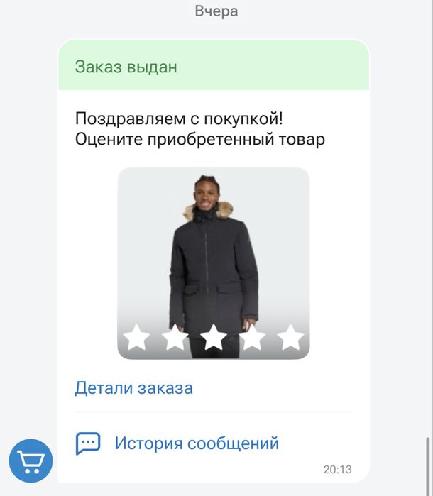 парка Адидас мужская