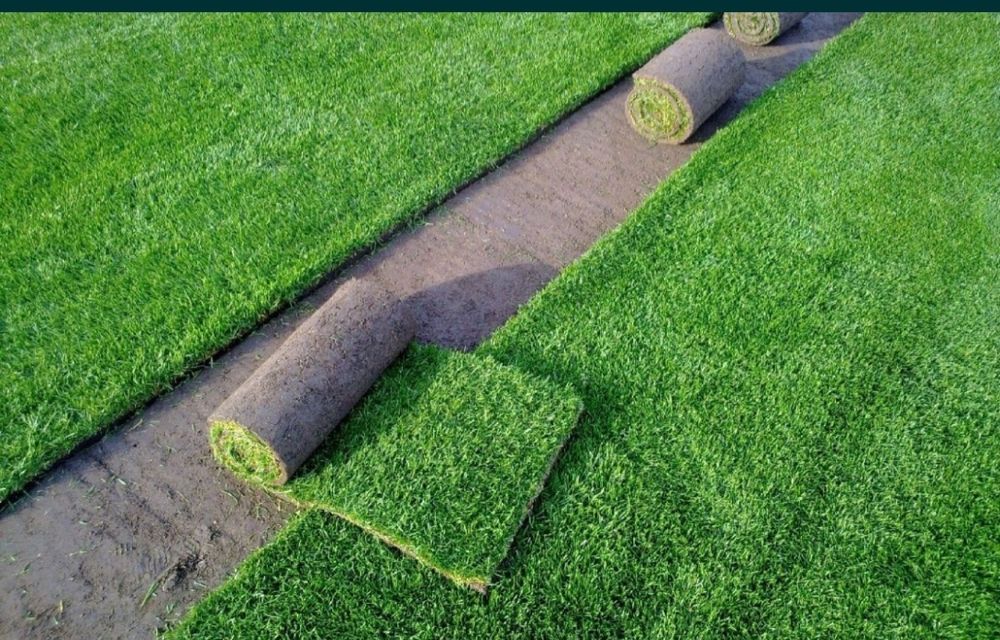 Amenajare gradina cu gazon rulou si sistemul de irigatie