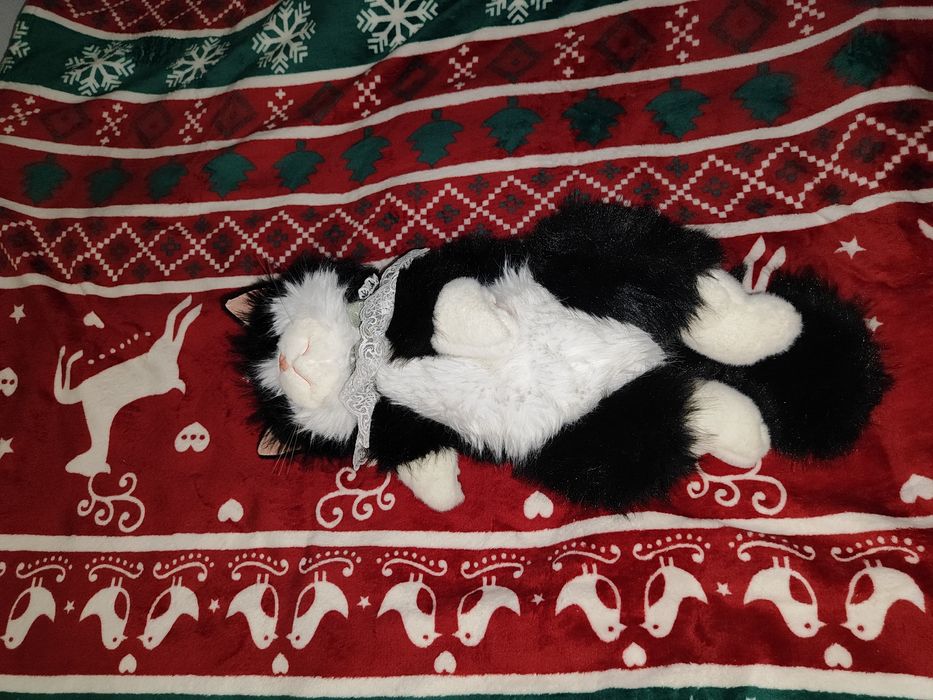 Сумки на плечо и сумка кошка