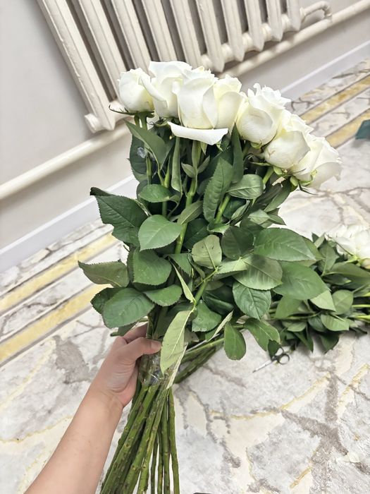 21 штук ак роза гул сатылады