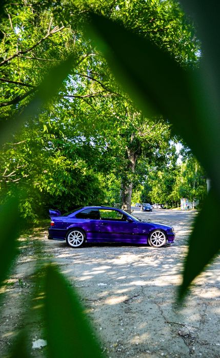 Bmw e36 coupe pisica