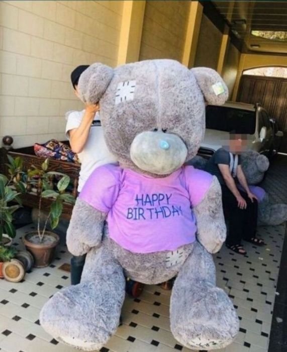 Айикчалар тедди Тедди