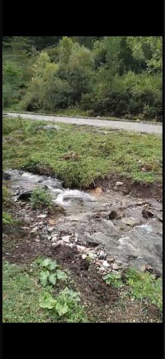 Oportunitate Unică: Domeniu Montan de 2.4 Hectare cu Casă – Ideal Turism, camping sau Rezidență