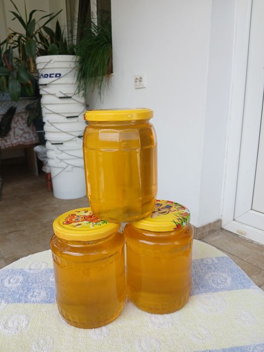 Miere poliflora(amorfa si alte flori)