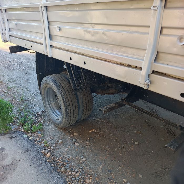 Газел бартавой змз