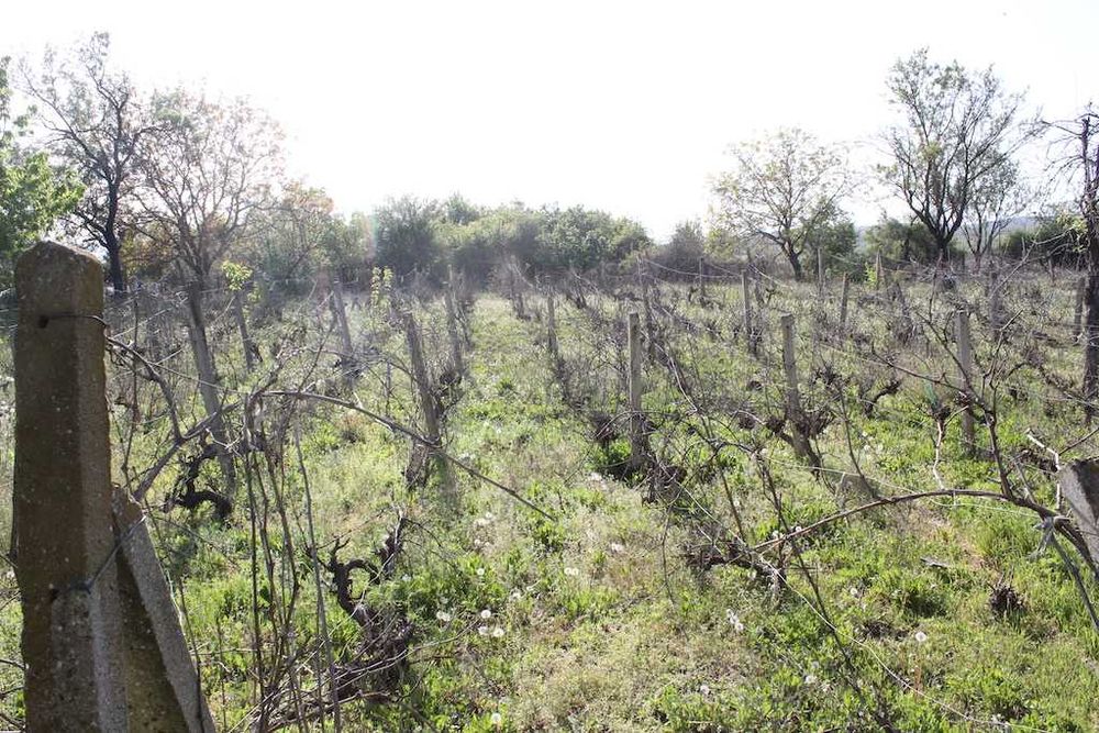 Продава се Парцел в с. Горица, Област Бургас - 1980 кв.м за 19 €/кв.м - Снимка #9