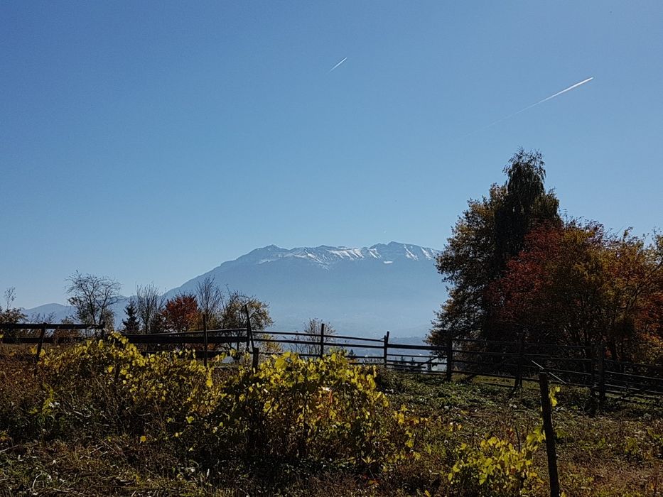 Teren la munte poiana marului brasov