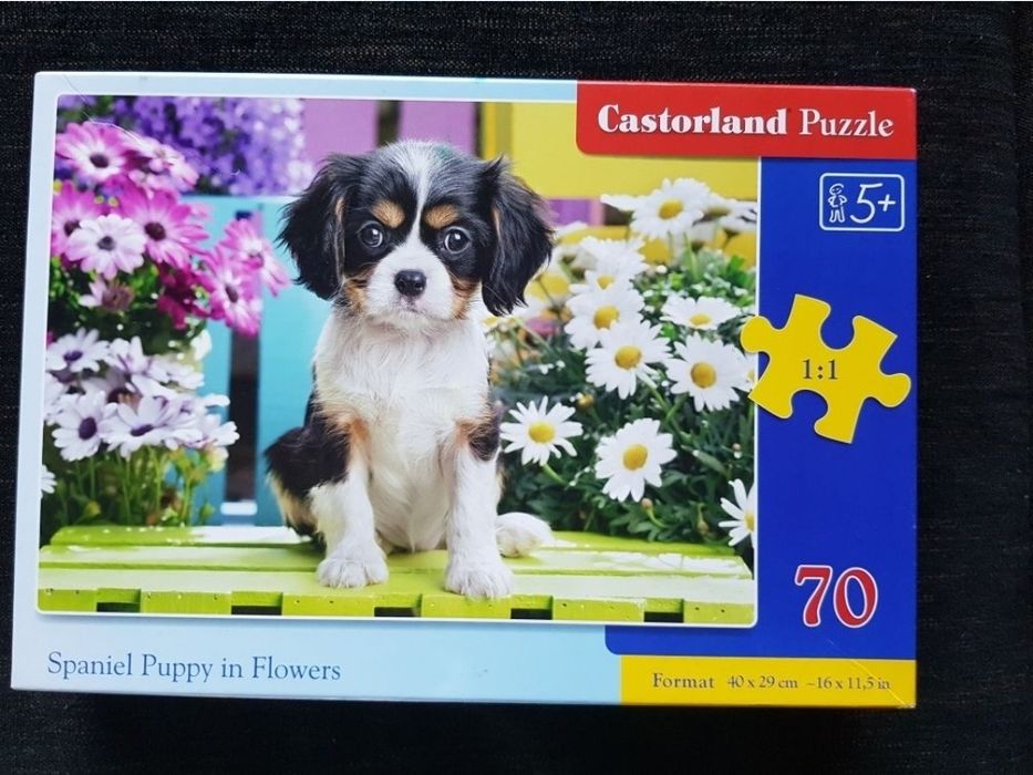 Нови топки за игра, пъзел, делфин, музикални играчки