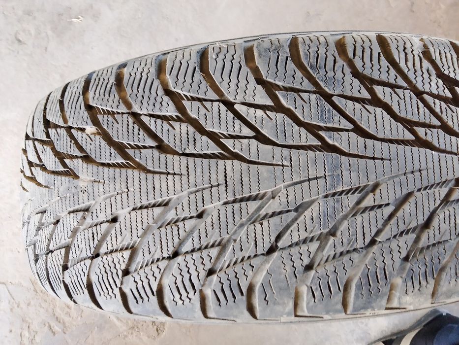 Автошина сатылады