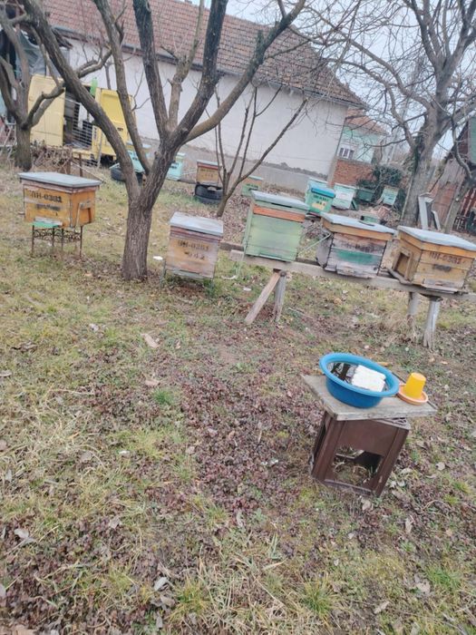 Stupi orizontale pe 20 de rame !!