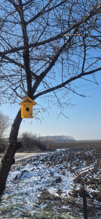 Casute pasari ,din lemn, hand made