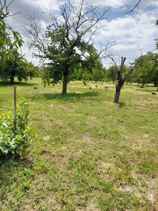 Продава се Парцел в София, Лозенец - 2527 кв.м за 16 €/кв.м - Снимка #12