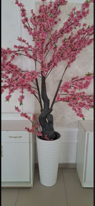 цветы для интерьера