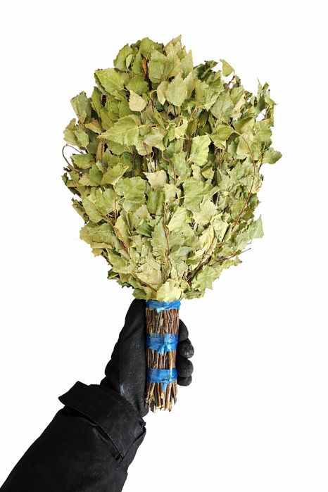 Веник берёзовый банный