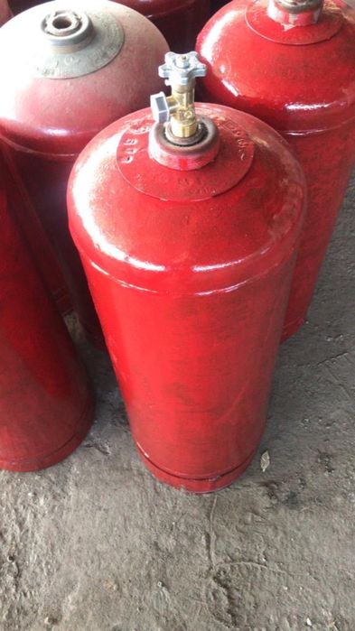 Болоны испытанные новые