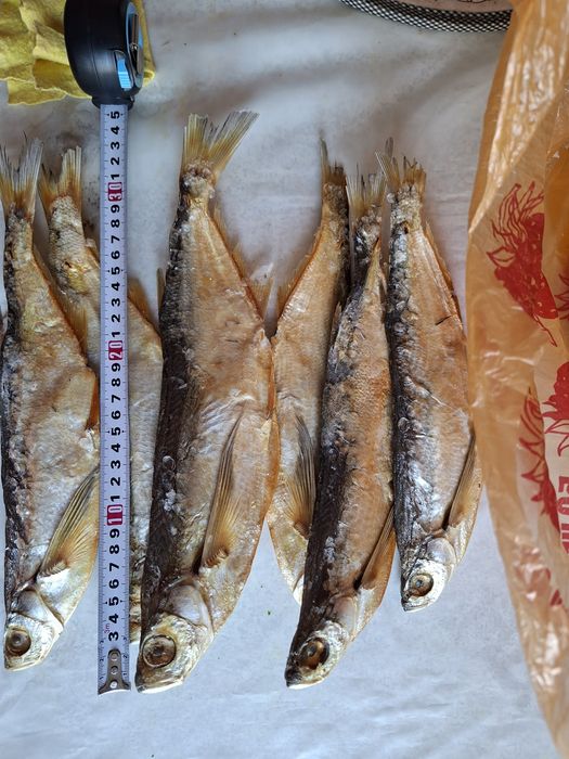 Раба чехонь вяленная Атырауский