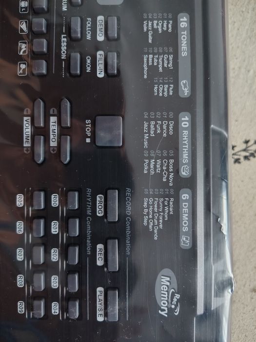 Orga electrica cu suport