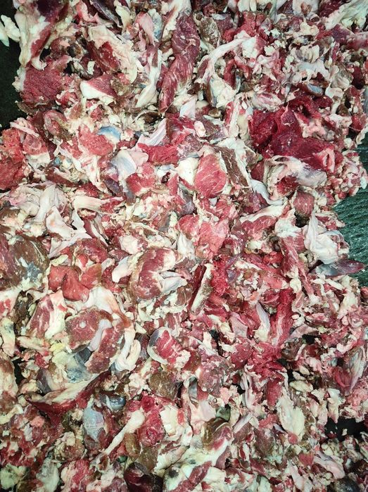 Храна за кучета и котки