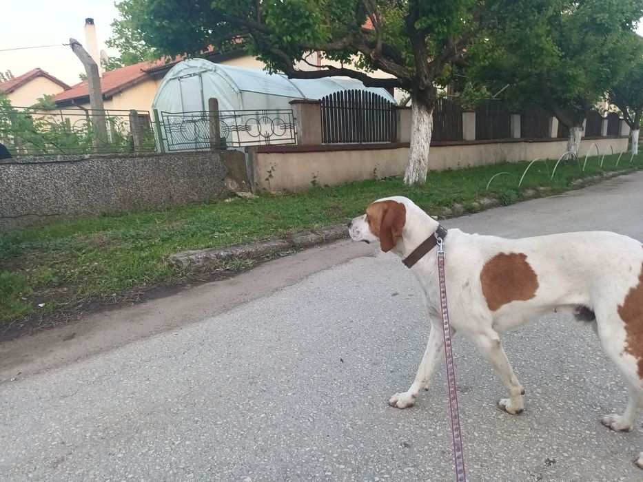 Откраднат/изгубен