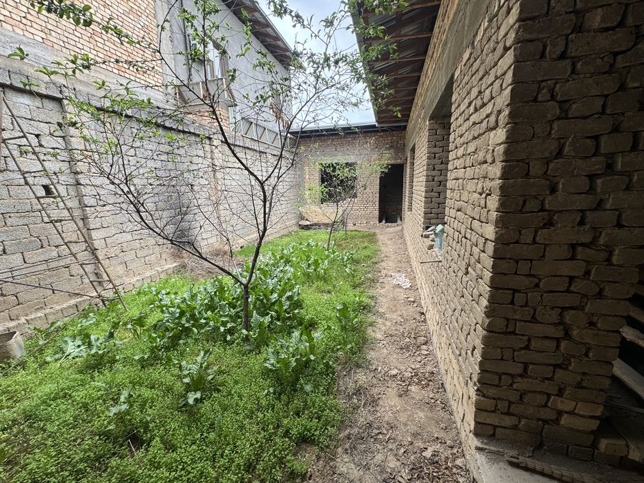 Ohimbobev yengi mahala