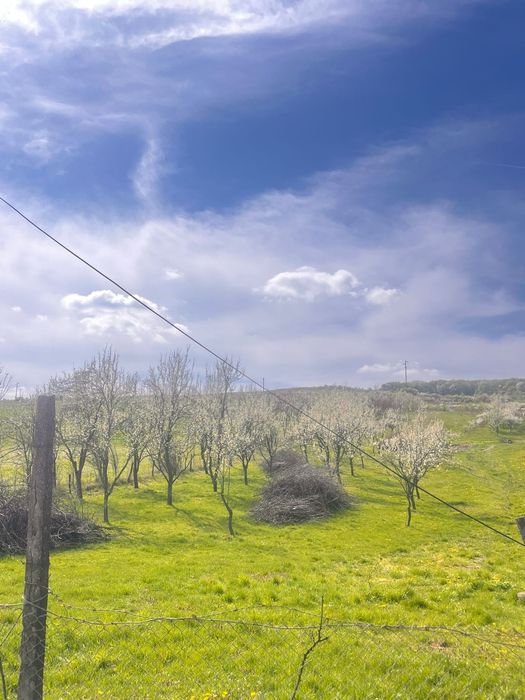 Teren Bunesti Intravilan vânzare