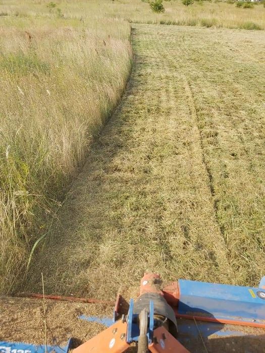 Defrișări taiat prin tocare terenuri, gradina, întreținere spati verzi