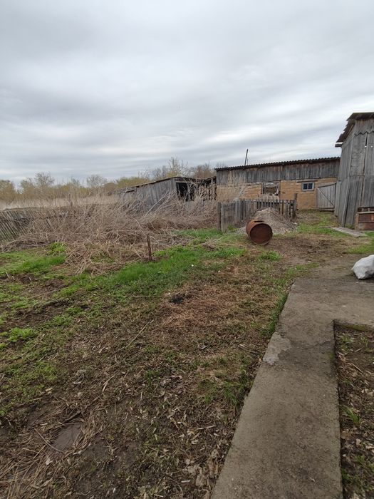 Продам дом в деревне