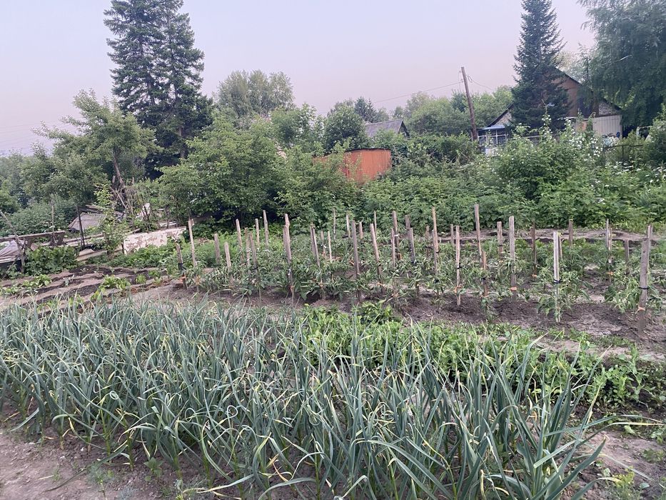 Продам дачу район остановки «Сады»