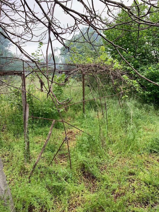 Къща в село Смилец, Силистра