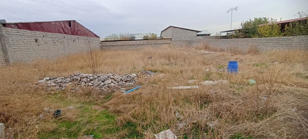 Bardankolda 10 sotx yer sotiladi