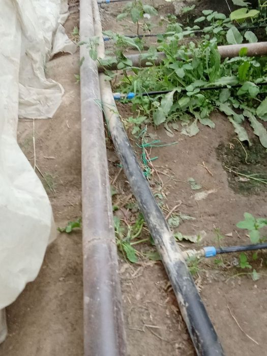 Parnik sotiladi, 5 sotix