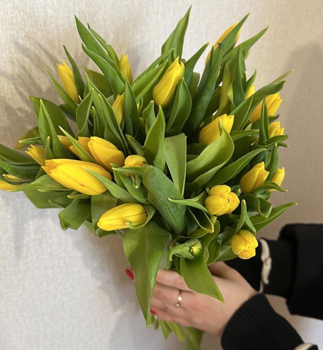 Тюльпаны по хорошей цене