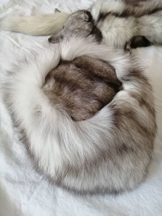 Шал и шапка от сребърна лисица