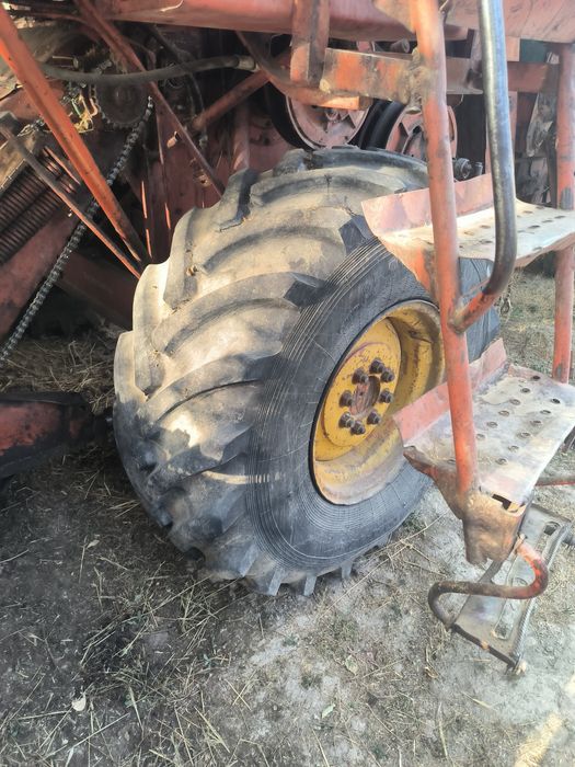 Enesi kanbayin sotiladi