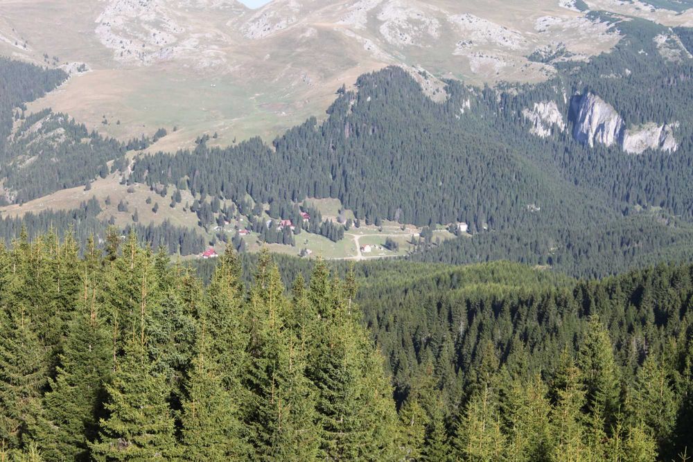 Teren vanzare 25 hectare