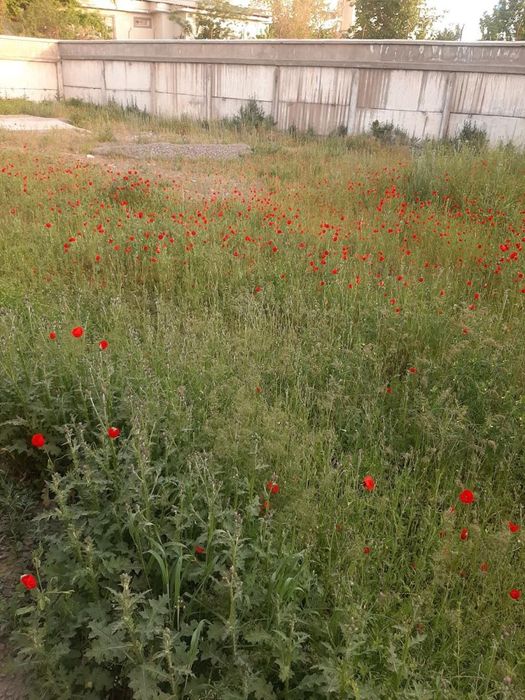 Продается земельный участок